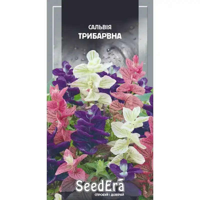 Сальвия трехцветная 0,2 г от Профессиональных Семян
