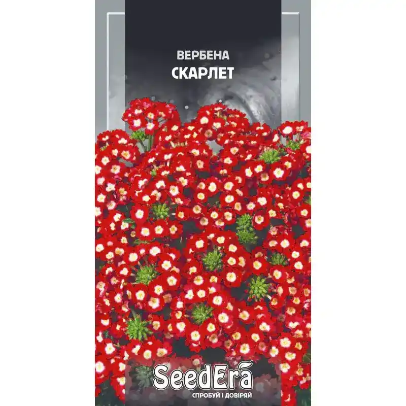 Вербена Скарлет 0,2 г от Профессиональных Семян