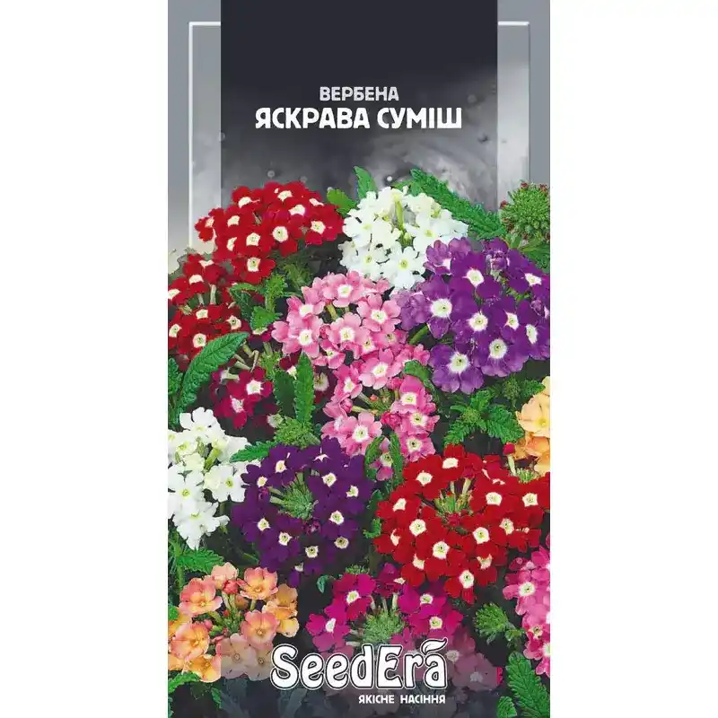 Вербена Яркая смесь 0,2 г от Профессиональных Семян