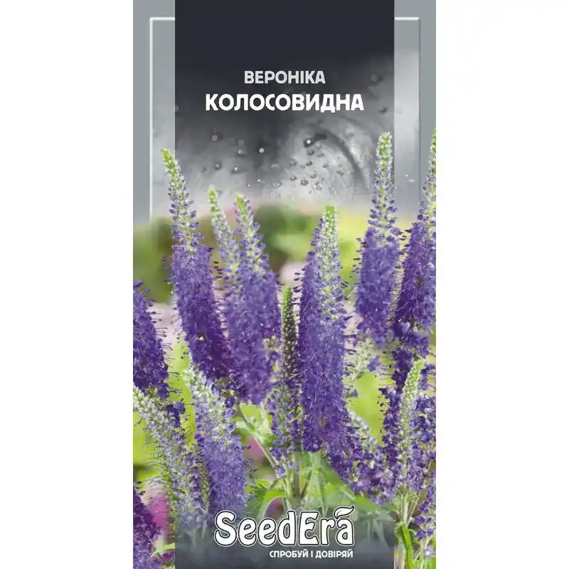 Вероника колосовидная 0,1 г от Профессиональных Семян