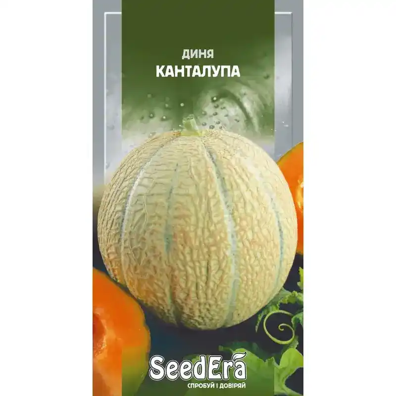 Дыня Канталупа — 10 шт от Профессиональных Семян