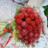 Гомфрена Клубничное поле, 0,1 г, красный от Профессиональных Семян