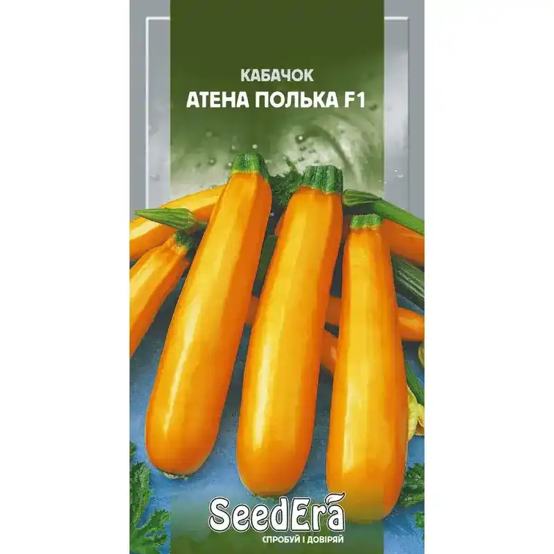 Кабачок Атена Полька F1 10 шт от Профессиональных Семян