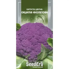 Капуста Сицилия фиолетовая 0,5 г от Профессиональных Семян