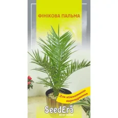 Финиковая пальма 2 шт от Профессиональных Семян
