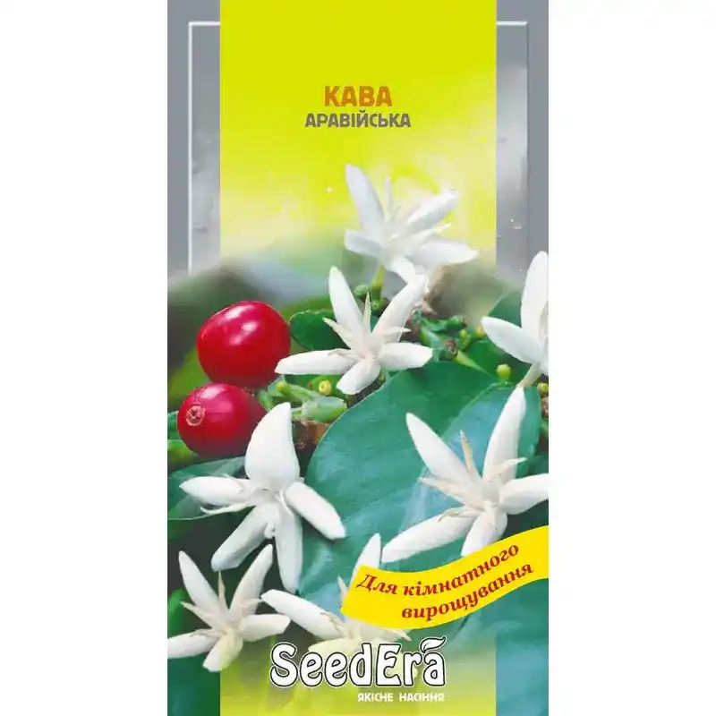 Кофе аравийский 10 шт от Профессиональных Семян