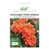Кроссандра Тропик 4 шт, красный цвет от Профессиональных Семян