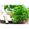 Петрушка кучерявая от Профессиональных Семян