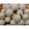 Лук Гледстоун от Профессиональных Семян