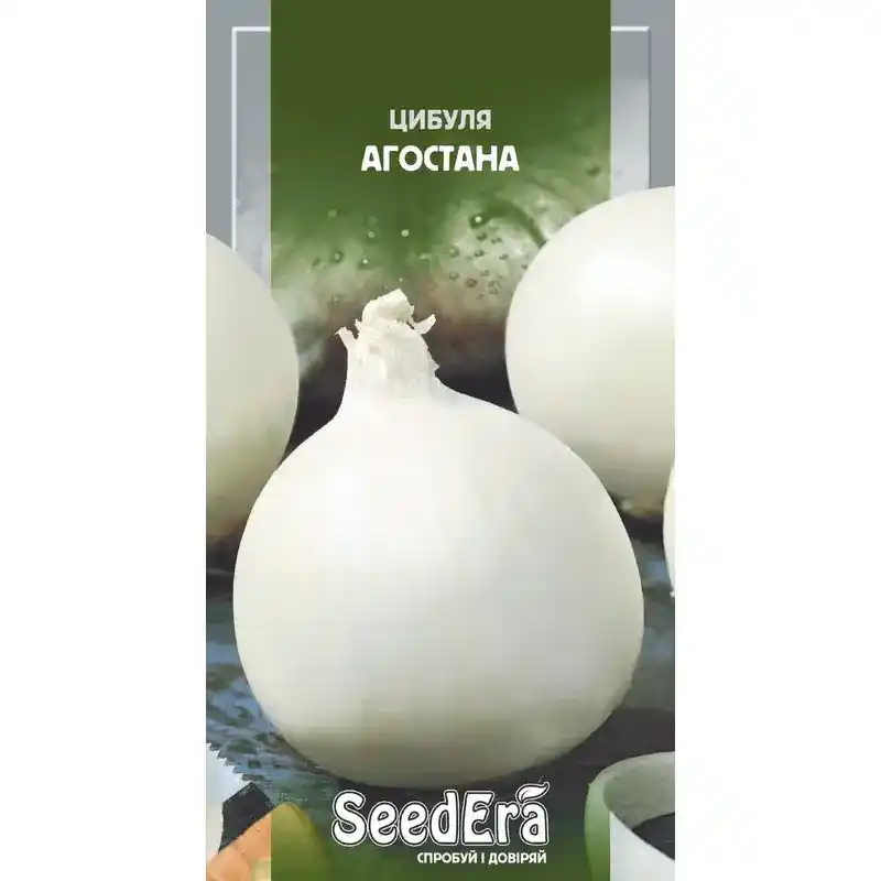 Лук Агостана 2 г от Профессиональных Семян