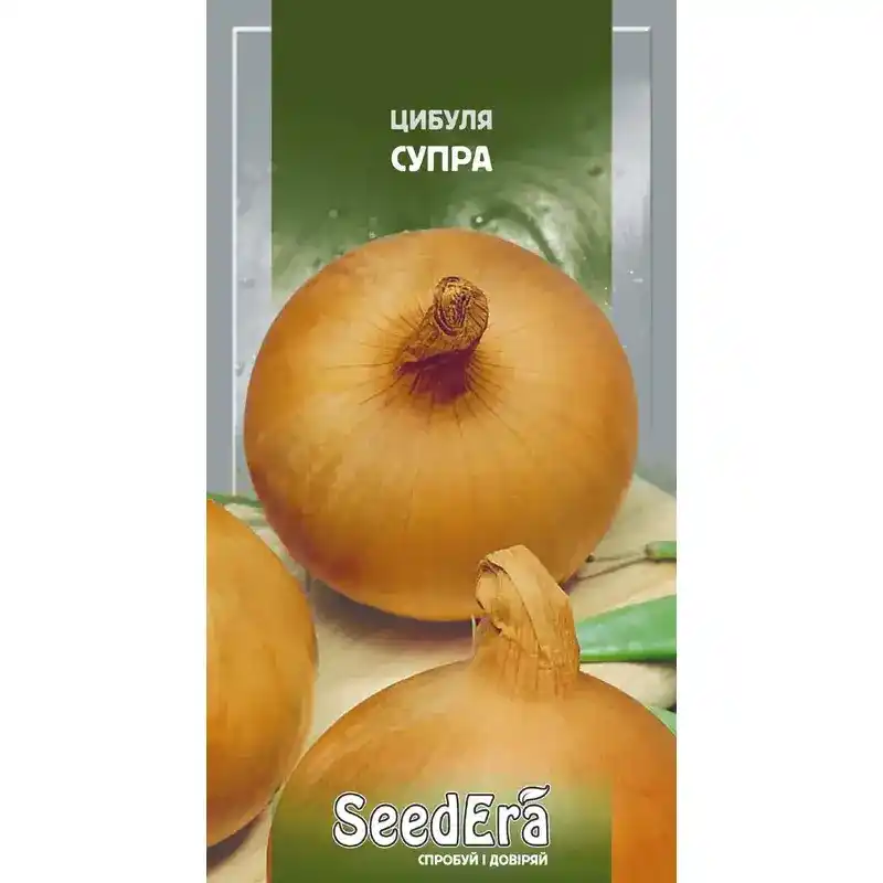 Лук Супра от Профессиональных Семян