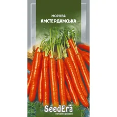Морковь Амстердамская от Профессиональных Семян