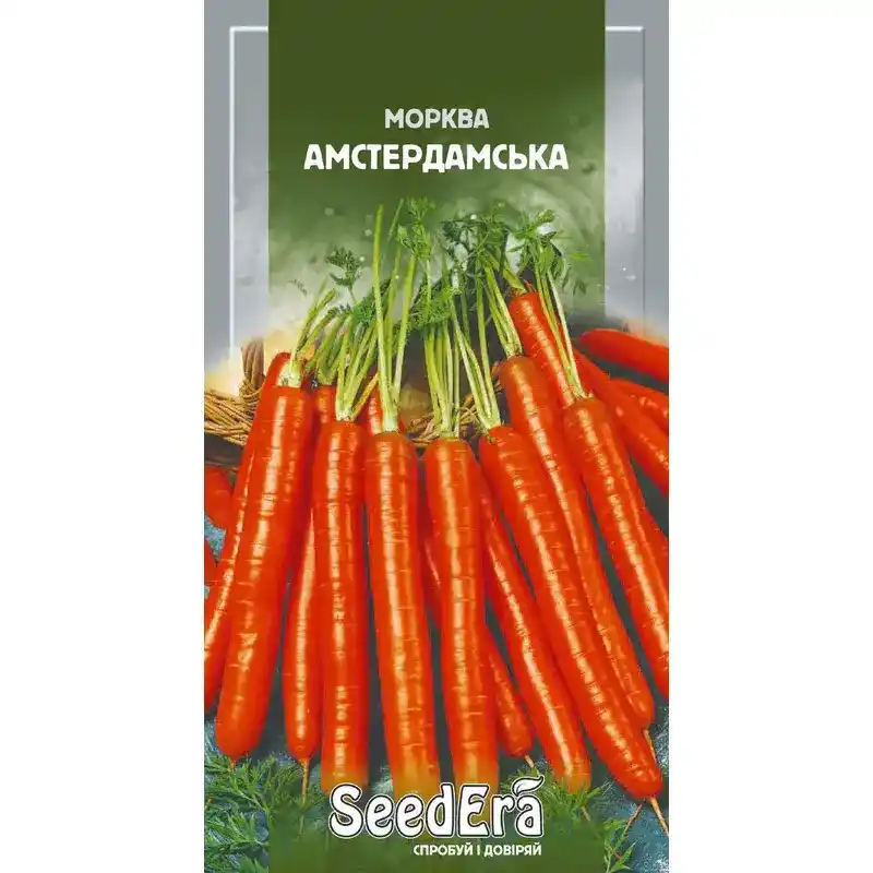 Морковь Амстердамская от Профессиональных Семян