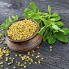 Пажитник (фенугрек) от Профессиональных Семян