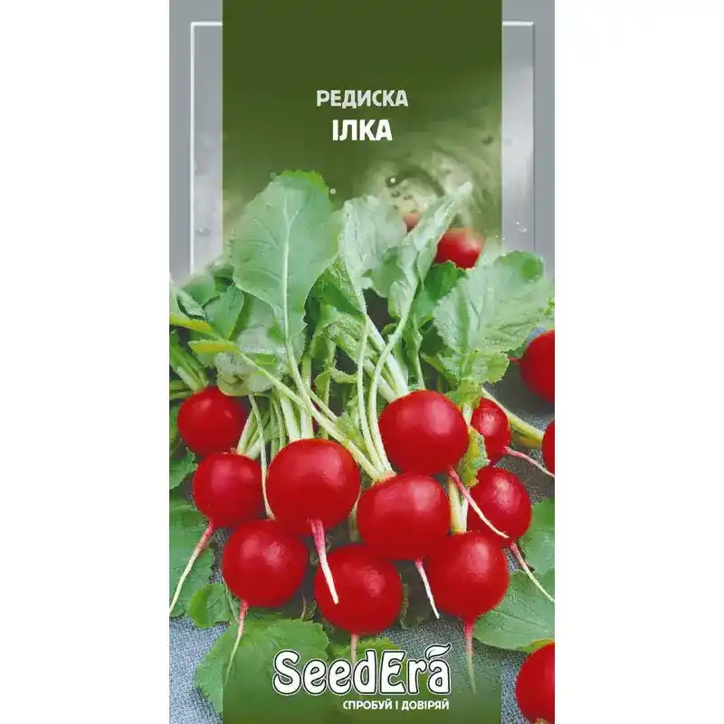 Редис Илка от Профессиональных Семян