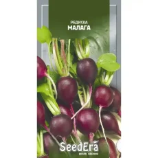 Редис Малага 1 г от Профессиональных Семян