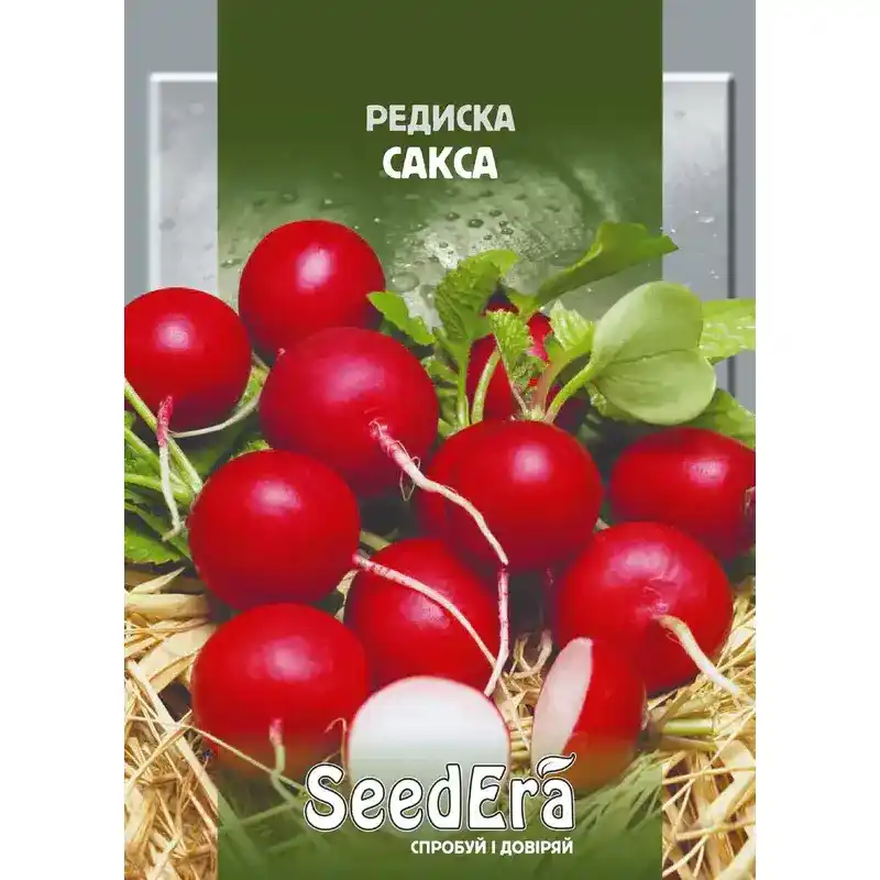 Редис Сакса от Профессиональных Семян