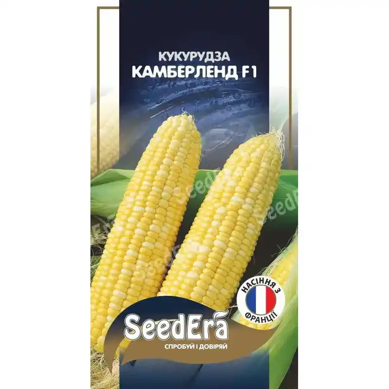 Кукуруза сладкая Камберленд F1 Profi 20 шт от Профессиональных Семян