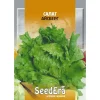 Салат Айсберг 10 г от Профессиональных Семян