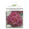 Салат Конкорд от Профессиональных Семян