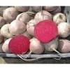 Свёкла столовая Бетти от Профессиональных Семян