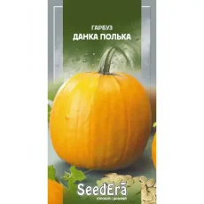 Тыква Данка Полька 10 шт от Профессиональных Семян