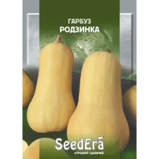 Тыква Изюминка от Профессиональных Семян