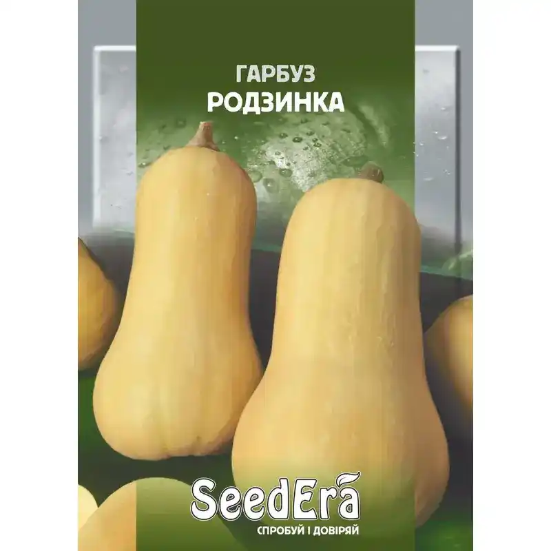 Тыква Изюминка от Профессиональных Семян