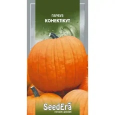 Тыква Коннектикут от Профессиональных Семян