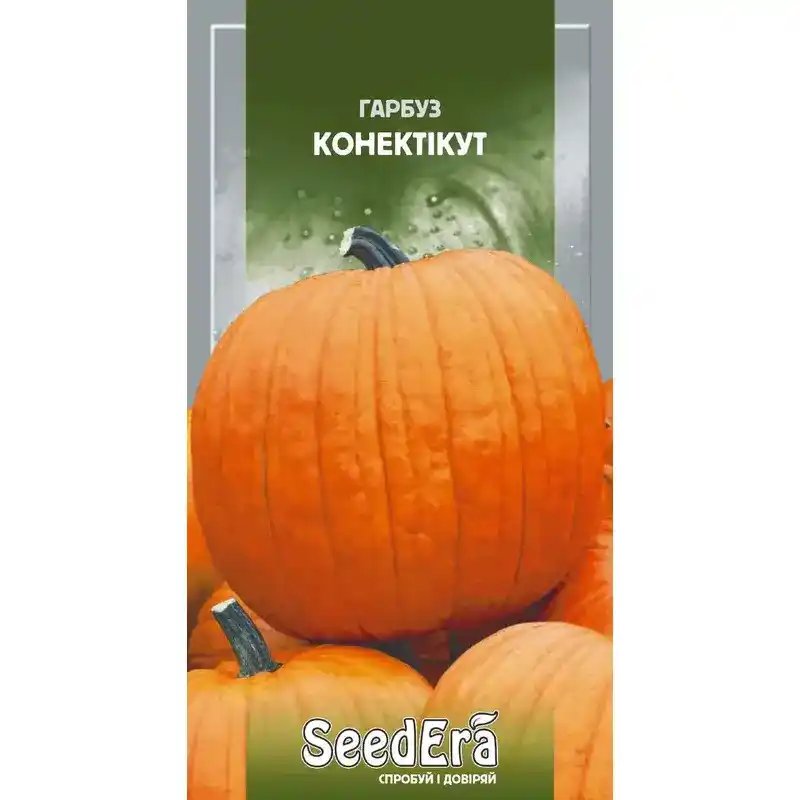 Тыква Коннектикут от Профессиональных Семян