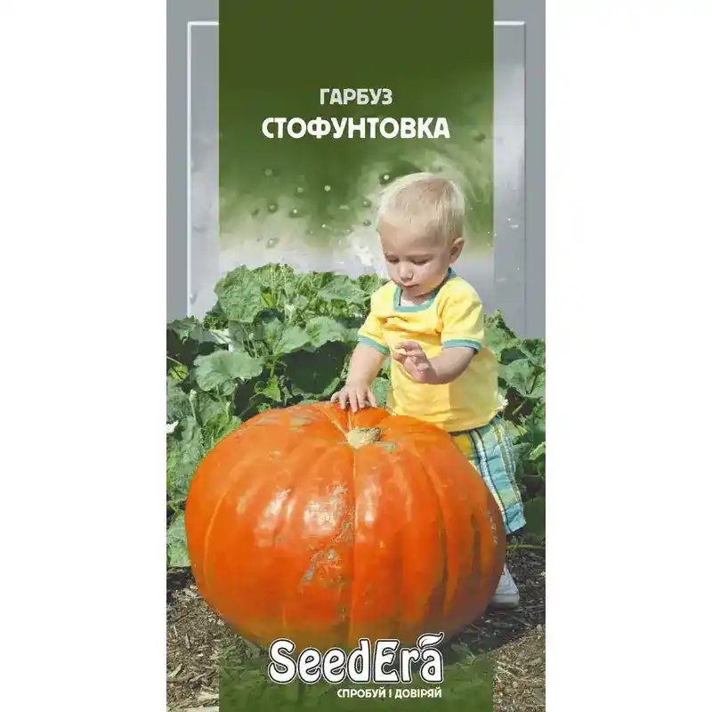 Тыква Стофунтовка от Профессиональных Семян