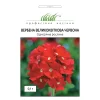 Вербена крупноцветковая красный от Профессиональных Семян