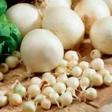 Лук севок Сноуболл белый от Профессиональных Семян
