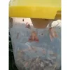Ловушка для насекомых Феромонная ловушка‑воронка от Профессиональных Семян