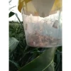 Ловушка для насекомых Феромонная ловушка‑воронка от Профессиональных Семян