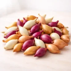 Лук севок