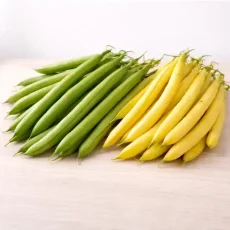 Семена Фасоли