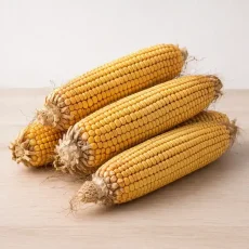 Семена Кукурузы