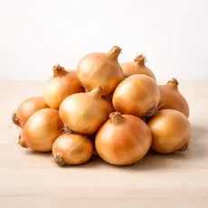 Семена Лука