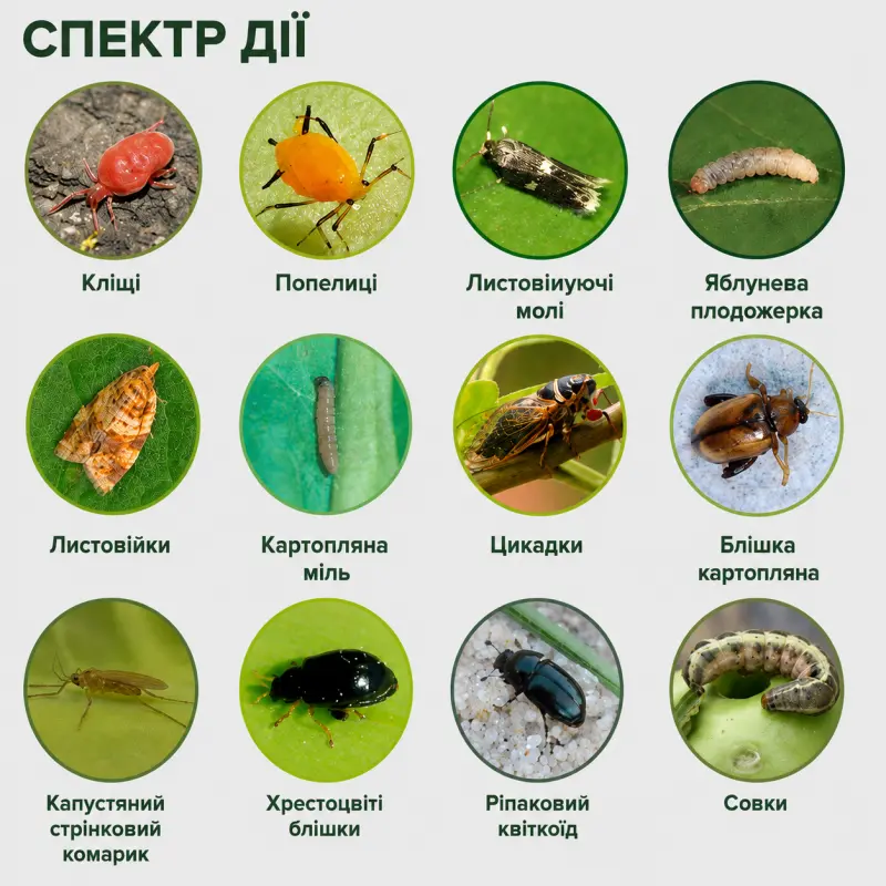 Инсекто-акарицид Цезарь -Профессиональные Семена Инсекто-акарицид Цезарь от Профессиональных Семян