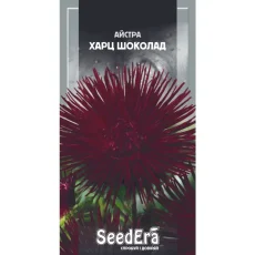 Астра высокорослая Харц Шоколад от Профессиональных Семян