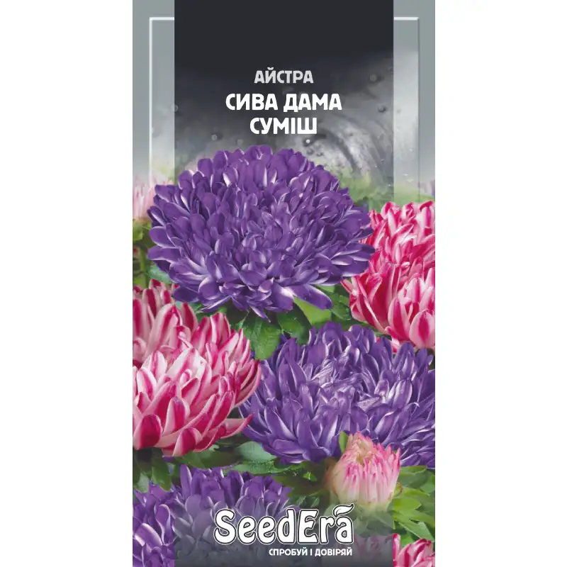 Астра пионовидная Седая Дама смесь от Профессиональных Семян