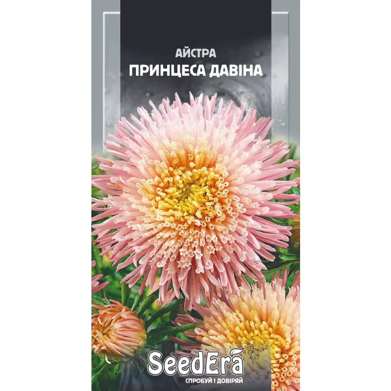 Астра высокорослая Принцесса Давина от Профессиональных Семян