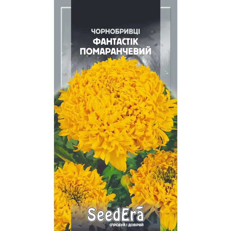 Бархатцы Фантастик Померанцевый от Профессиональных Семян