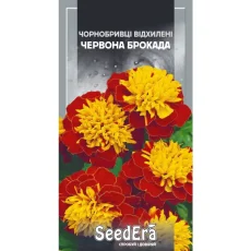 Бархатцы отклоненные Красная Брокада от Профессиональных Семян