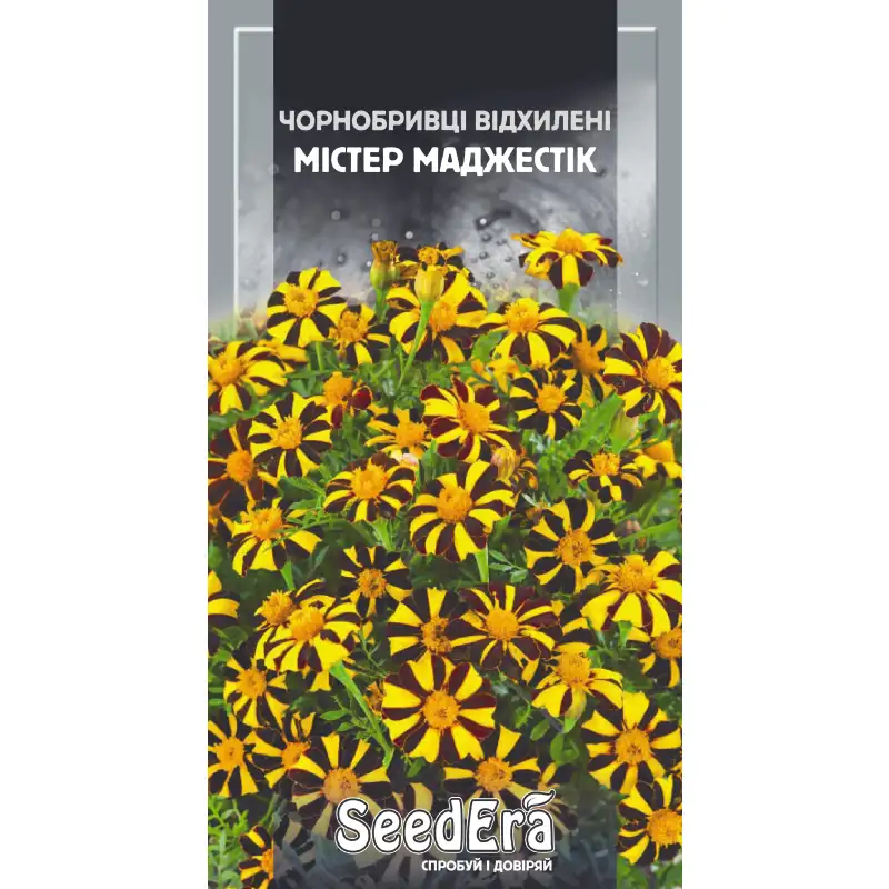 Бархатцы отклоненные Мистер Маджестик от Профессиональных Семян