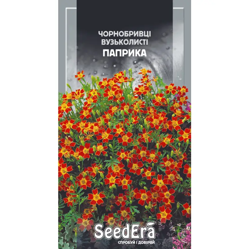 Бархатцы узколистные Паприка от Профессиональных Семян