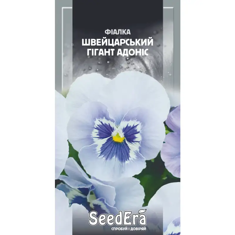 Фиалка садовая Швейцарский гигант Адонис от Профессиональных Семян