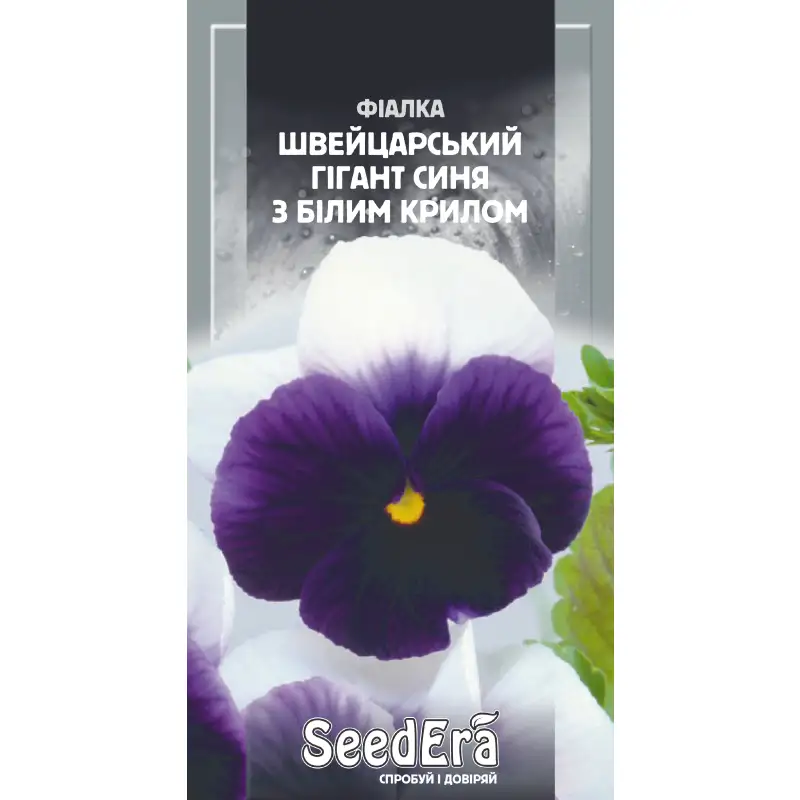 Фиалка садовая Швейцарский гигант Синий с белым крылом от Профессиональных Семян