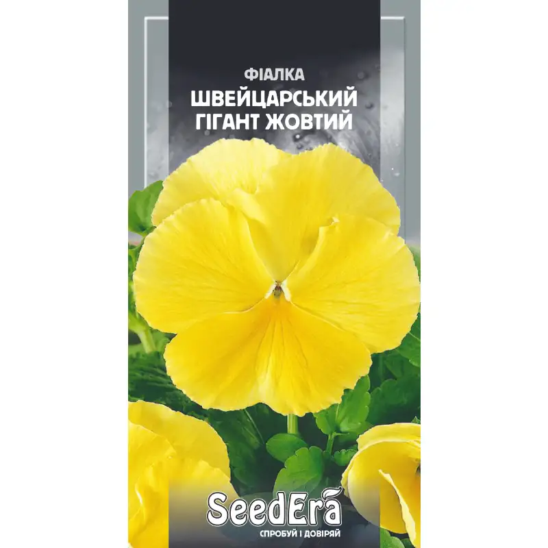 Фиалка садовая Швейцарский гигант желтый от Профессиональных Семян